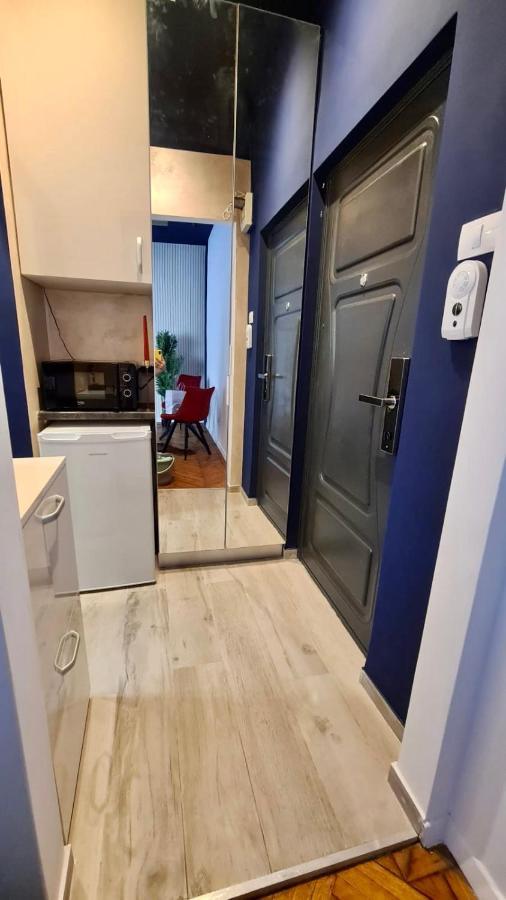 Calea Victoriei Studio By Magic Apartments Boekarest Buitenkant foto